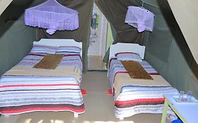 Rhino Tourist Camp